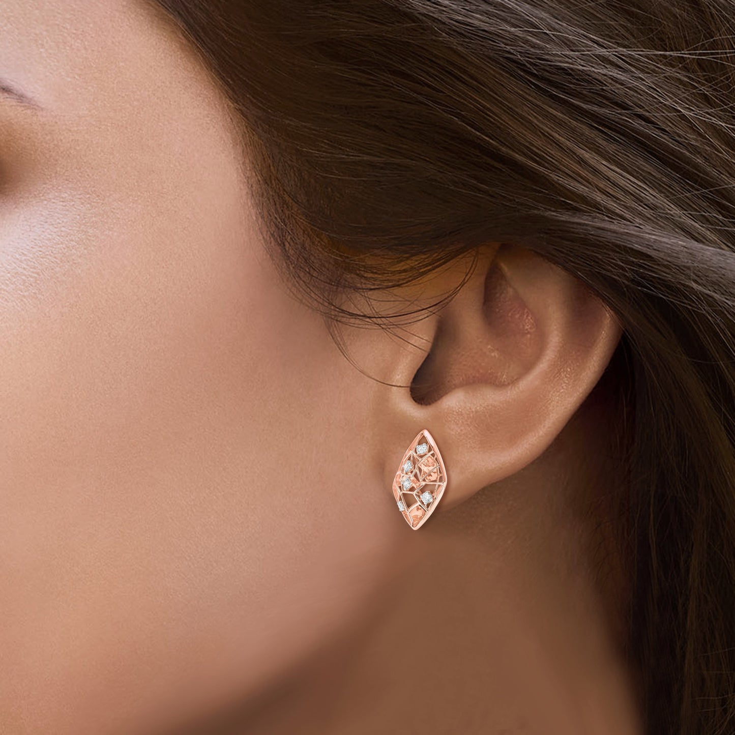 Starring you Aroa Diamond Earrings*